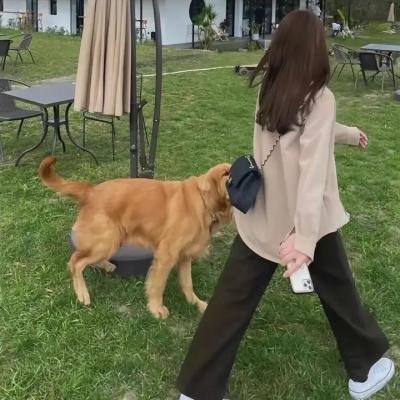 你好,翠小姐